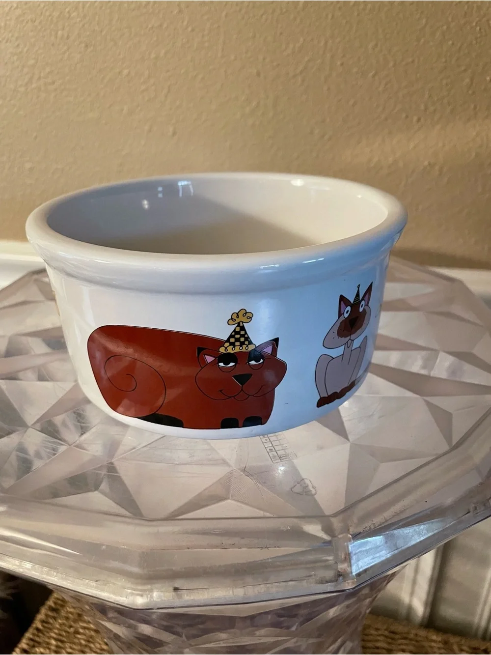 Ursula Dodge Cat Party Cat Dish